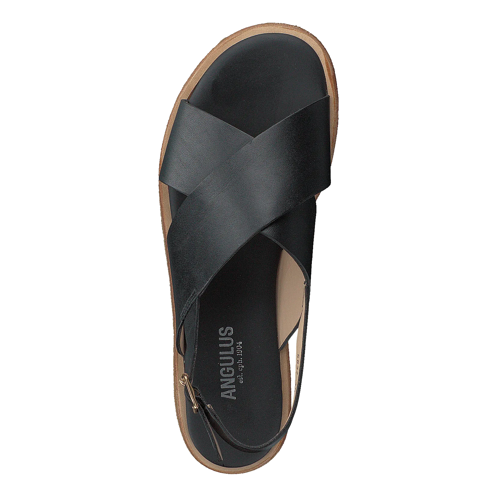 Angulus zapatos Sandal With Buckle Black