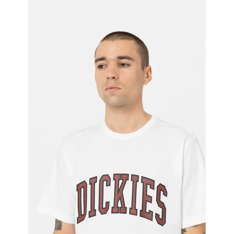 DICKIES AITKIN TEE WHITE/FIRED BRICK
