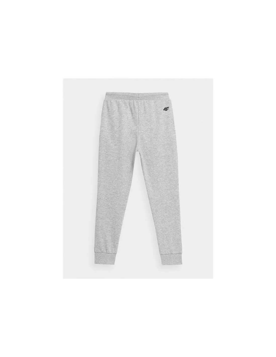 Pantalones de Fitness 4F Gris Niño