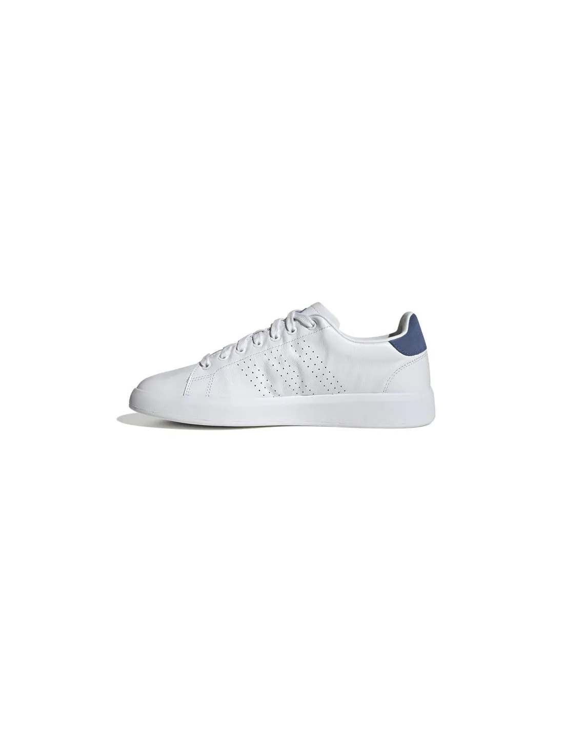 Zapatillas adidas Advantage Premium Hombre