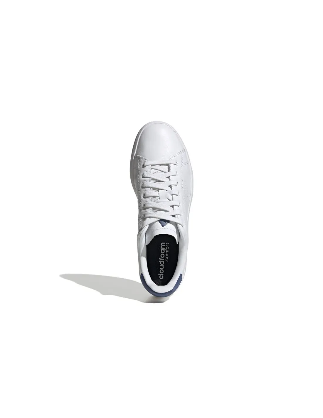 Zapatillas adidas Advantage Premium Hombre